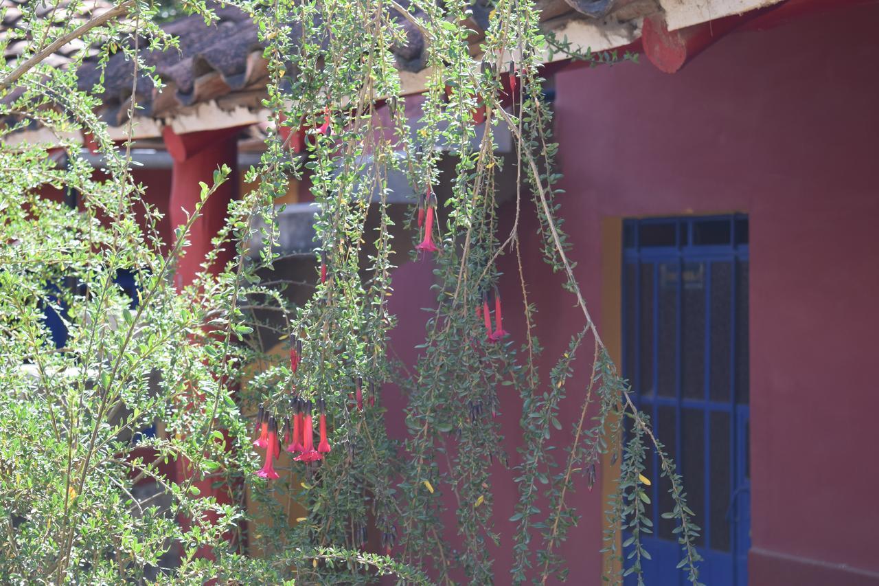 Mancos La Casita De Mi Abuelaホステル エクステリア 写真